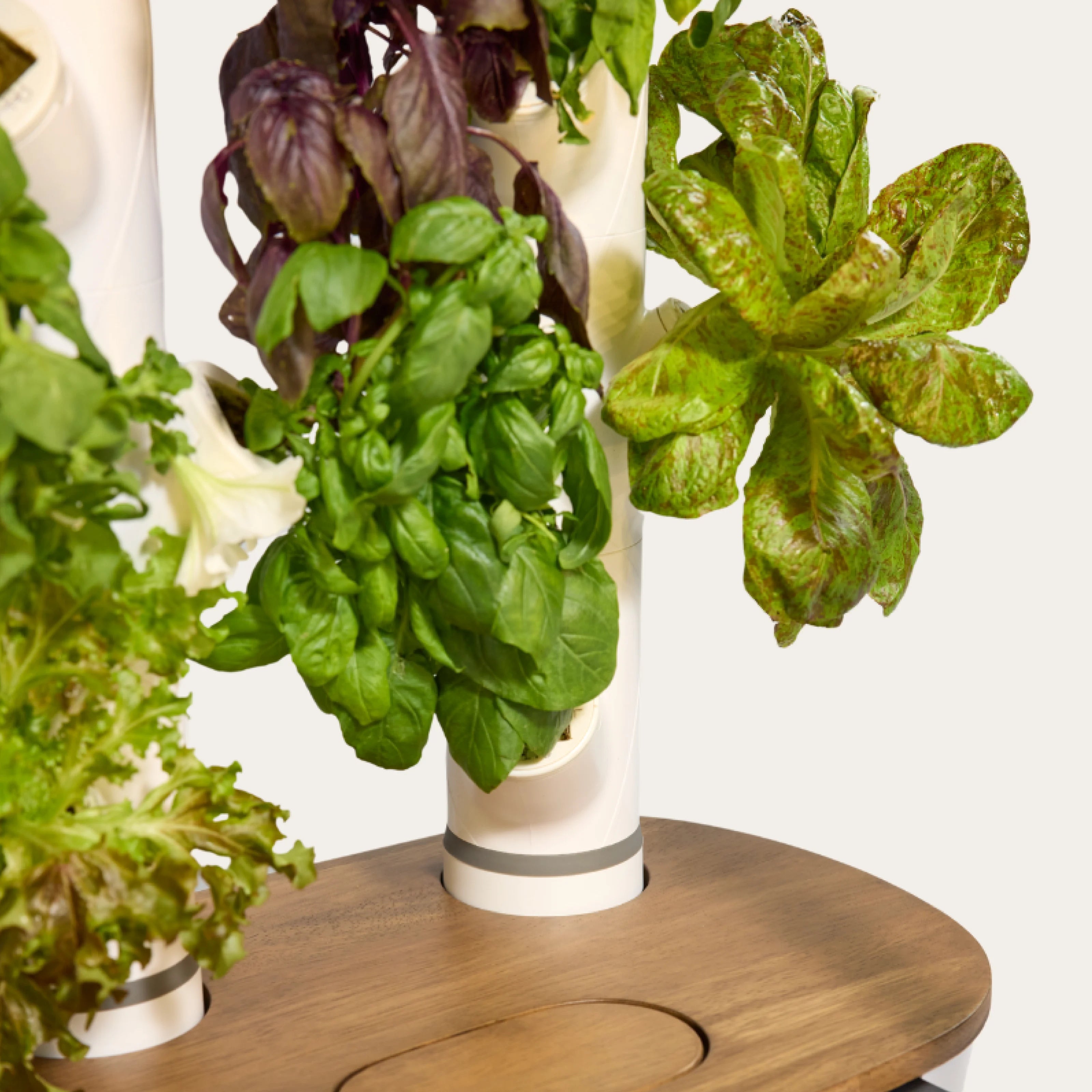 Home 3 & 4 Full Single Column: 3-Pack