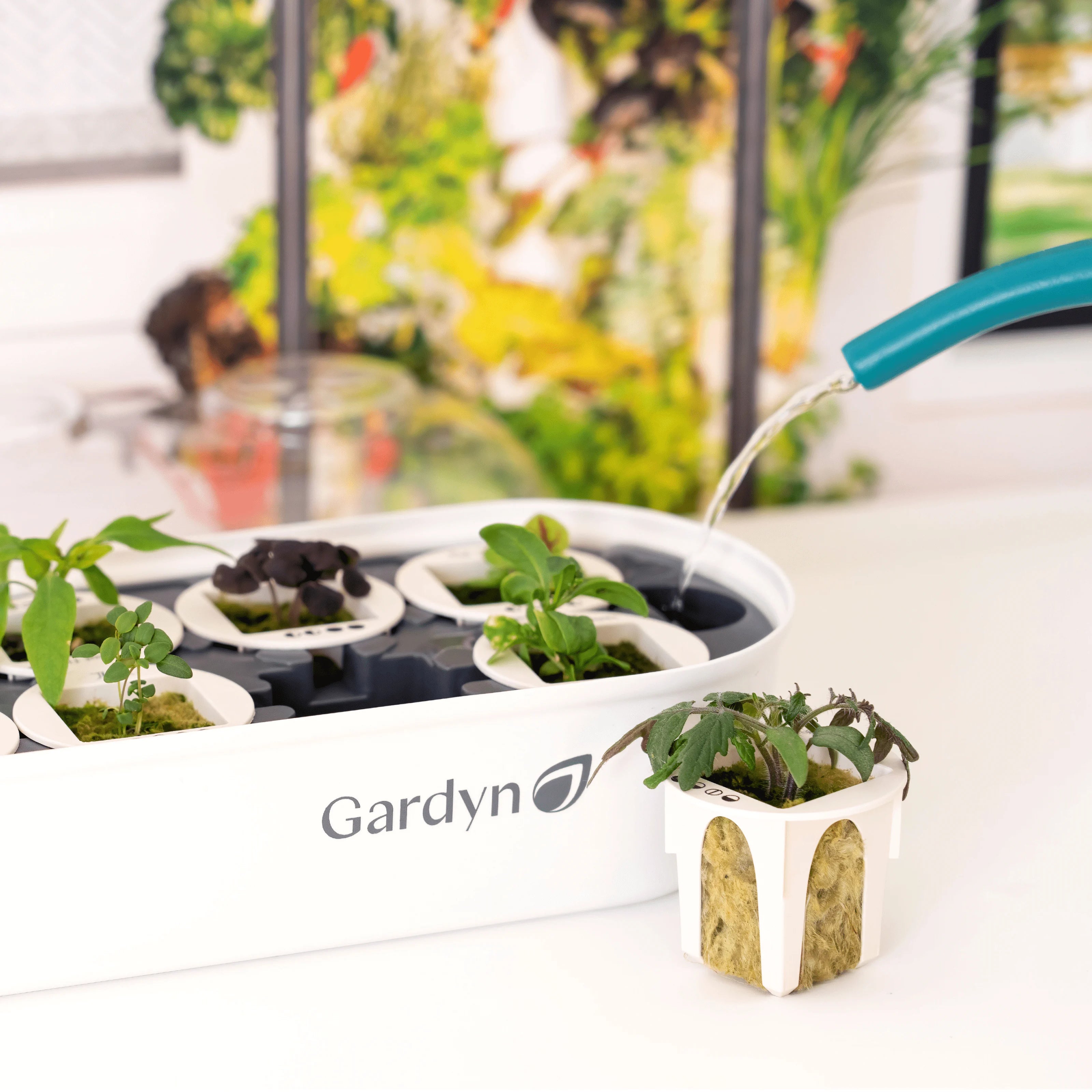 Gardyn Sprout Nursery