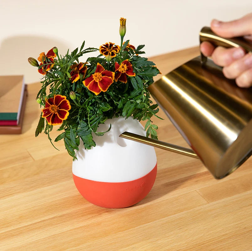 Gardyn Vase