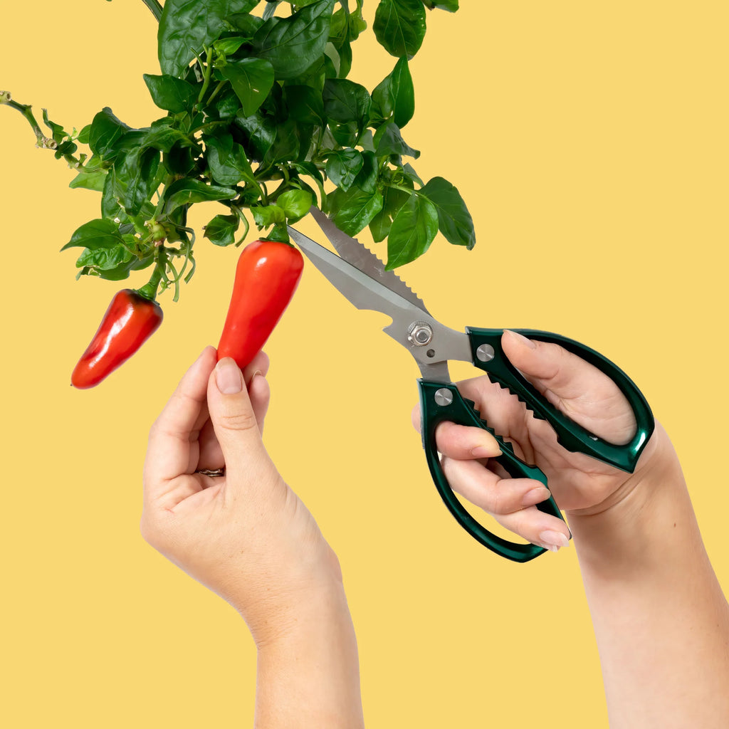Gardyn Harvest Kit