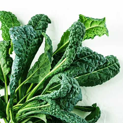 Classic Kale