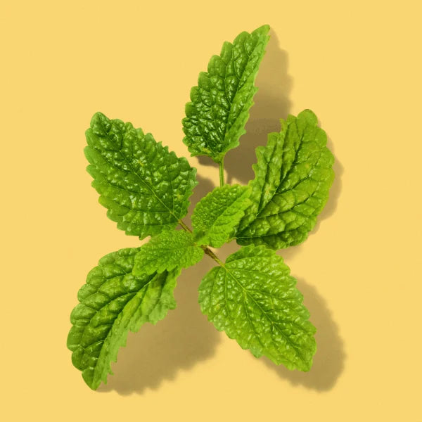 Mint