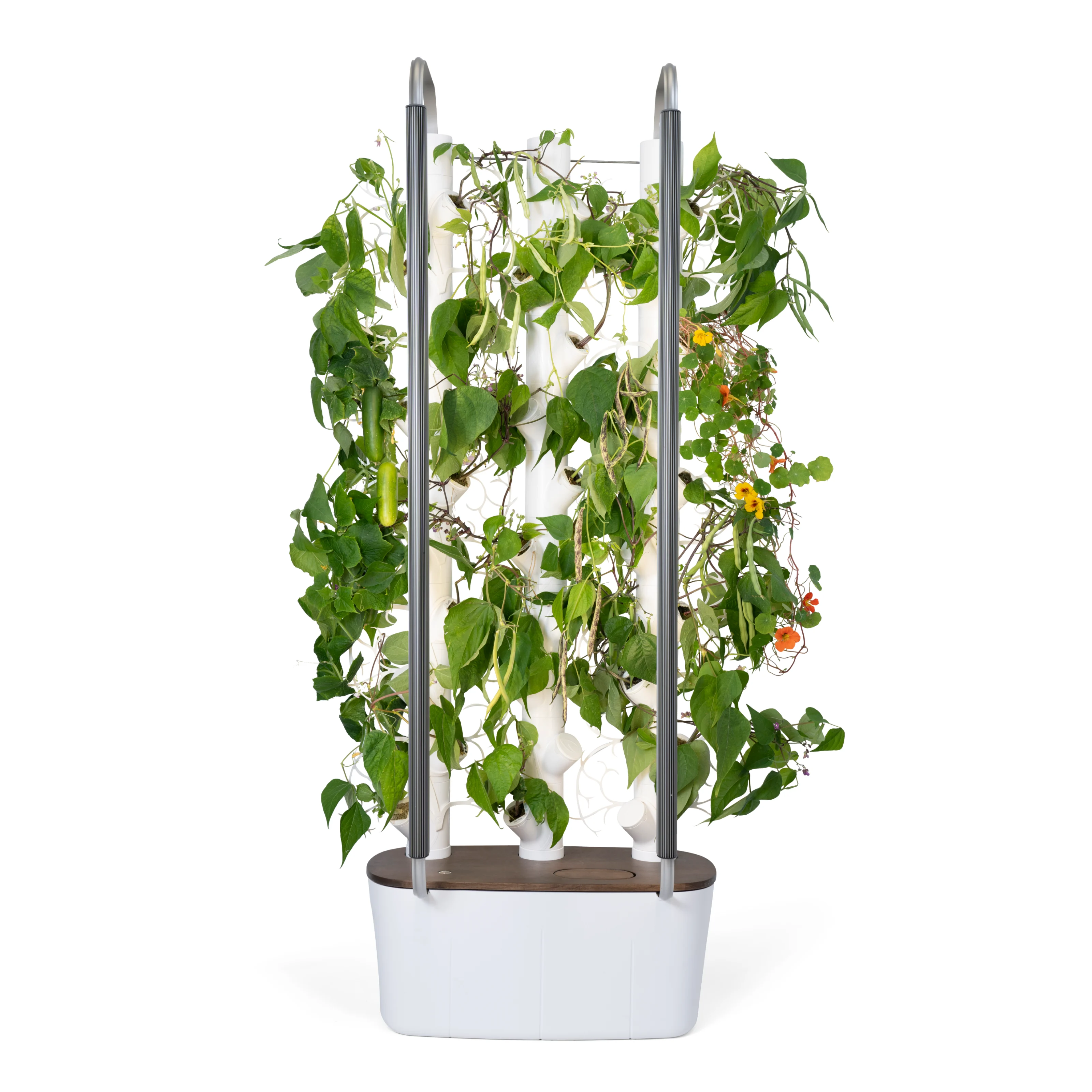 Gardyn Trellis