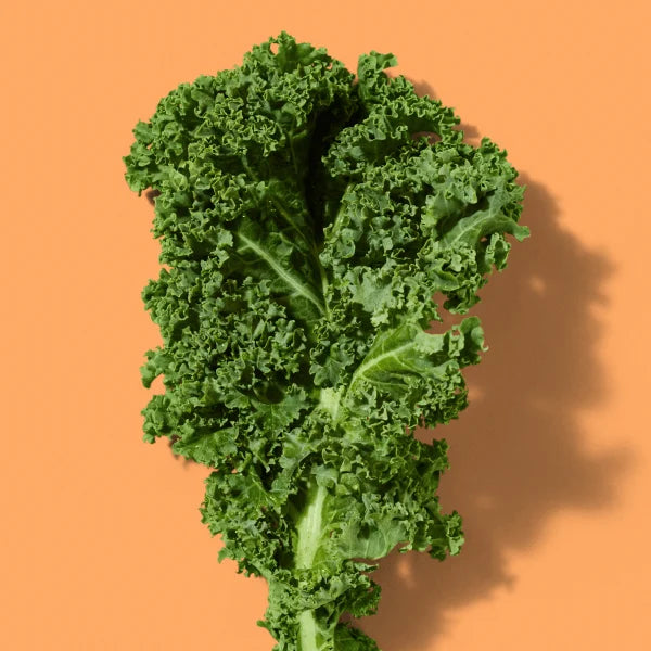 Classic Kale